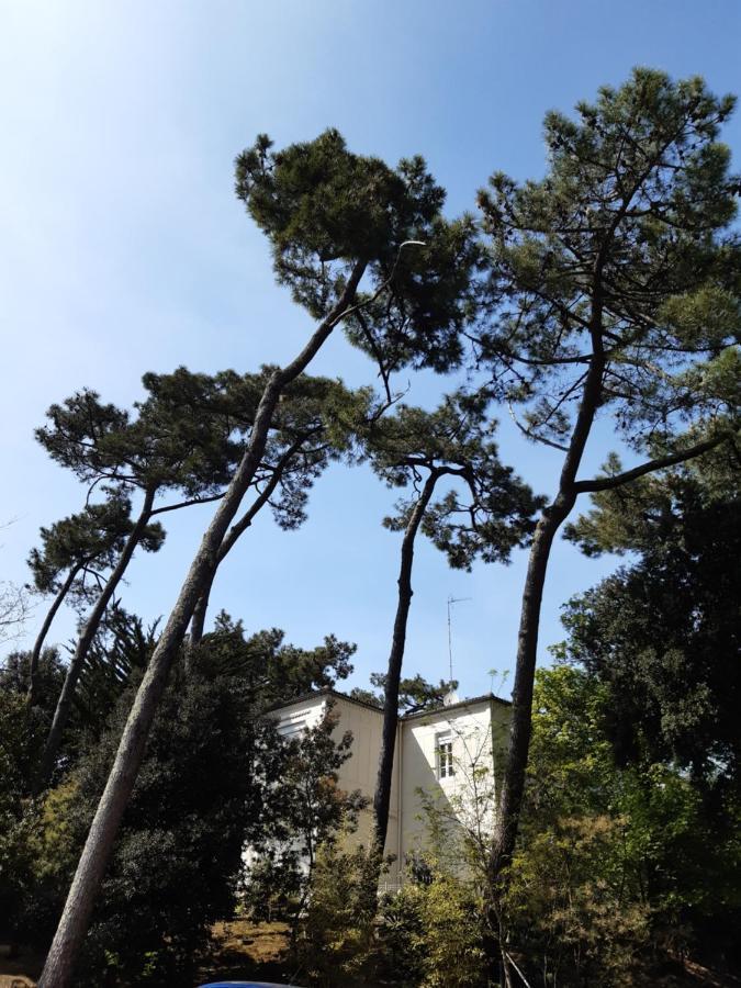 Agreable Studio Ronce Les Bains 라 트럼블라드 외부 사진